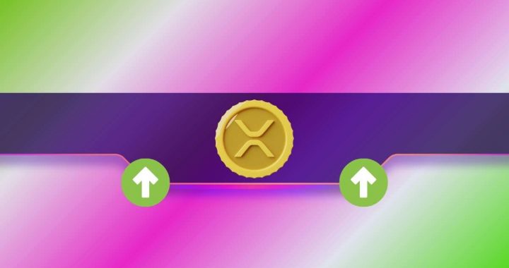 XRP Price Surges Beyond $3.3, Leaves Over $40 Million in Liquidations