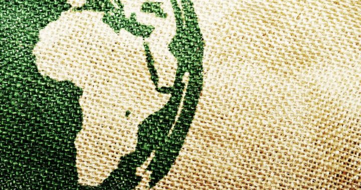 Africa Doesn’t Need Another Wallet App: It Needs a Seat at the Table (Op-ed)