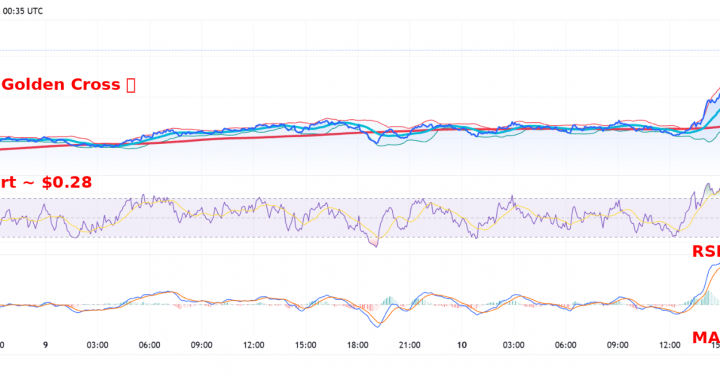 Sei Crypto is The New Solana: Integrates Native USDC and CCTP V2 to Accelerate Cross-Chain Liquidity
