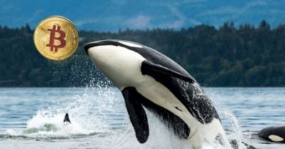 Galaxy Digital sends over 10,000 Bitcoin from Satoshi-era stash to exchanges