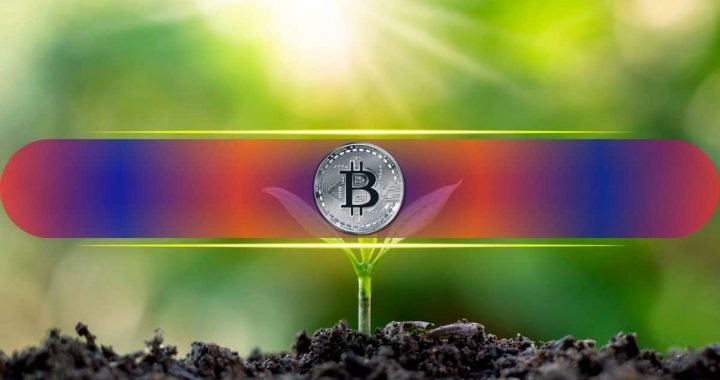 Less Than 1 BTC Might Be Enough to Retire: Here’s Why