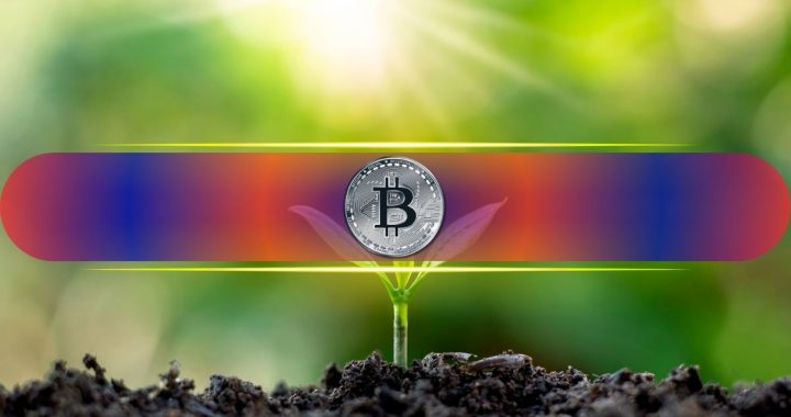 Bitcoin’s Price is Nowhere Near Overheating Despite Surge to $123K: CryptoQuant