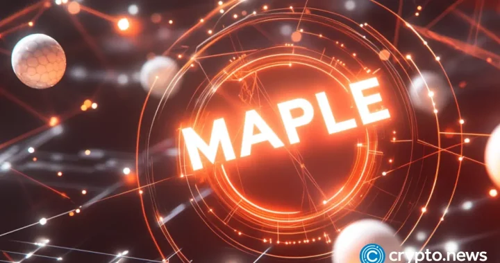 Why is SYRUP up 30% despite crypto market downturn?
