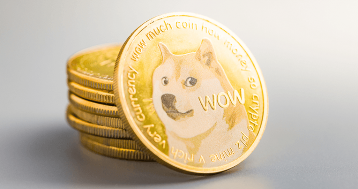 Nasdaq-Listed Firm Bets Big on DOGE With Massive Capital Raise