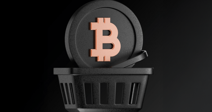 Xapo Reports 24% Jump in Bitcoin Loans, Surging Stablecoin Use in Emerging Markets