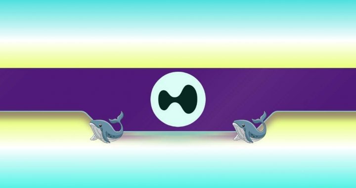 Whales Pour $6M Into HYPE Ahead of July 15 Unlock