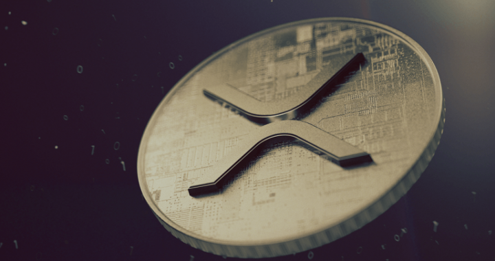 Ripple Co-Founder’s Wallets Unleash Millions in XRP Transfers in July