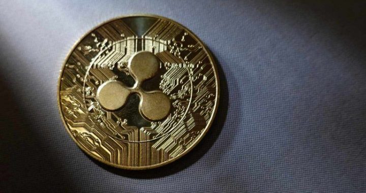 Ripple Share Controversy: Linqto Confirms It Still Holds 4.7M Shares