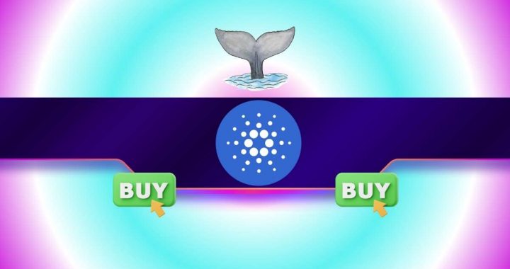 100,000,000 ADA Snapped Up by Whales in 24H: What’s Next for Cardano’s Price?