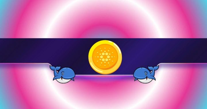 200,000,000 ADA in Just 2 Days: Are Cardano Whales Preparing for Something?