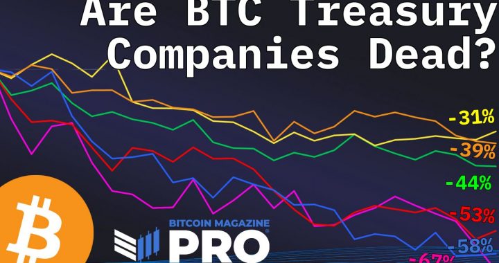 Are Bitcoin Treasury Companies Still a Smart Investment in 2025?