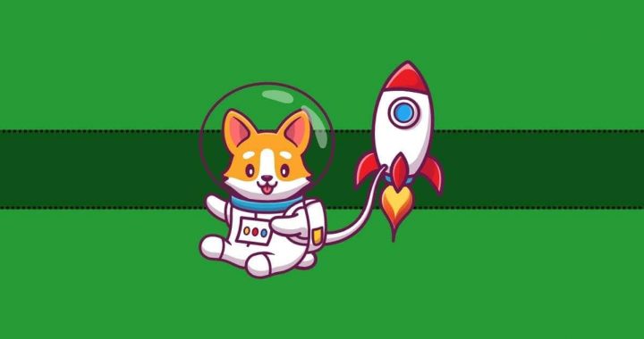 BONK Targets 100% Rally After Neckline Retest Begins