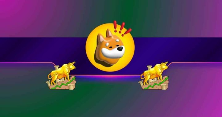 BONK at Critical Level After 28% Weekly Drop