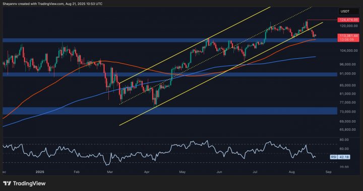 Bitcoin Price Analysis: BTC Tests Key Support as Further Breakdown Looms