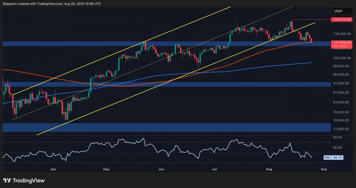 Bitcoin Price Analysis: BTC at Critical Point for Bull Run Continuation