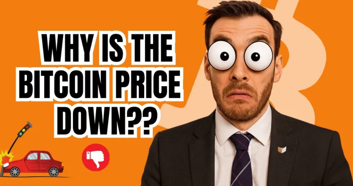 Bitcoin Price Falls — And As Usual, Nobody Knows Why