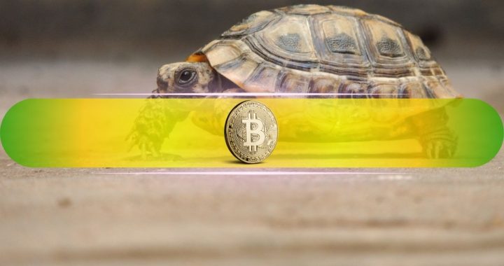 Why Is Bitcoin Crawling This Cycle? Analyst Reveals the Hidden Factors