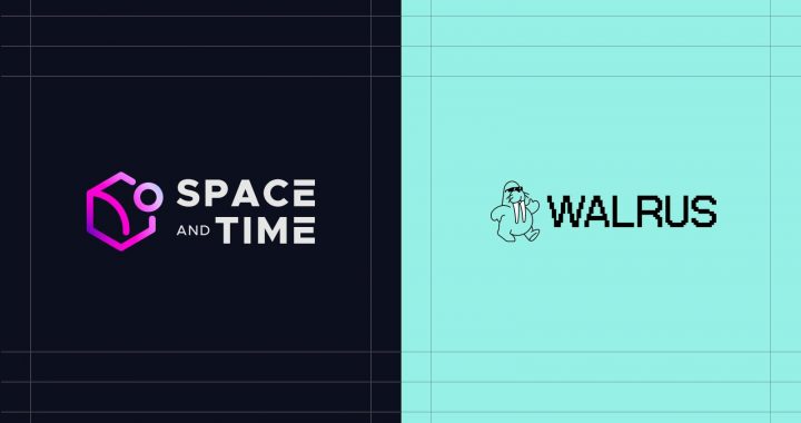 Space and Time Partners with Walrus to Power Real-Time Insights for Onchain Data
