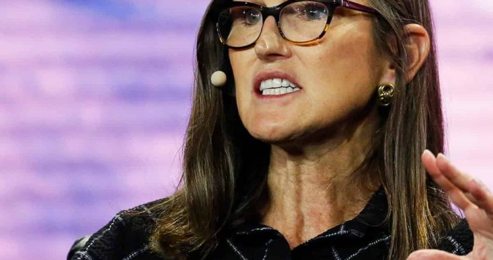 What Is Cathie Wood’s Ark Invest Buying and Selling Amid This Market Correction?