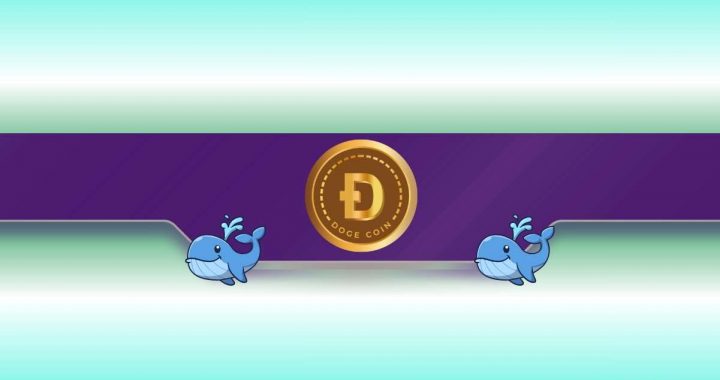 Dogecoin (DOGE) Whales Go Crazy: Further Price Rally Incoming?