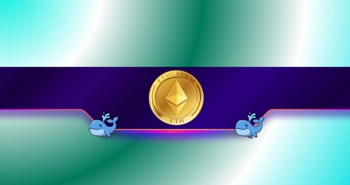 Mysterious Whale or Institution? Who’s Snapping Up ETH?