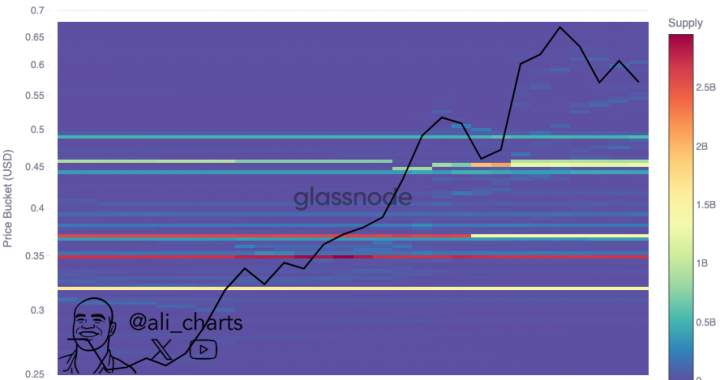 3 Key Ethena (ENA) Support Levels To Monitor – Analyst