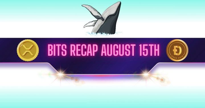 XRP and DOGE Whales Make Big Moves, BNB Set New Record: Bits Recap August 15th