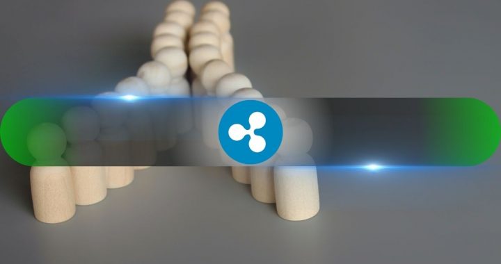 XRP Divide: Loved by Retail, Shunned by Institutions – What’s Driving the Sentiment Split?