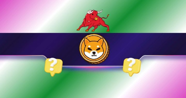 2 Reasons Why the Shiba Inu (SHIB) Price Might Rally Soon