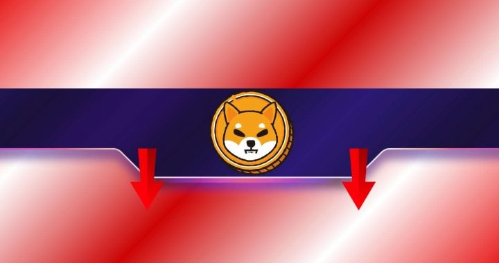 This Shiba Inu (SHIB) Metric Drops to a Multi-Month Low: More Pain Ahead?