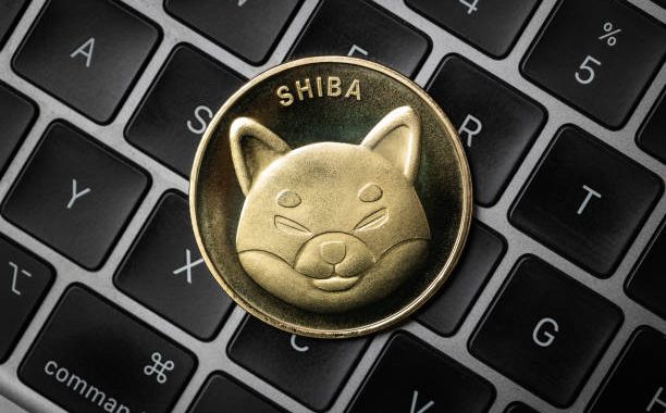 Shiba Inu’s Shibarium Suffers Crash In Major Metric, Is SHIB Price At Risk?