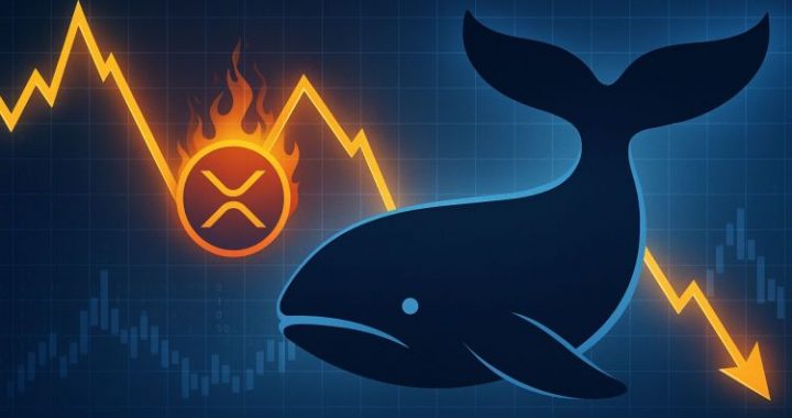 XRP Whale Activity Signals Warning: Distribution Pattern Resurfaces