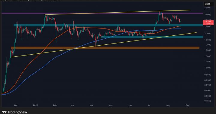 Ripple Price Analysis: What’s Next for XRP After 20% Pullback?