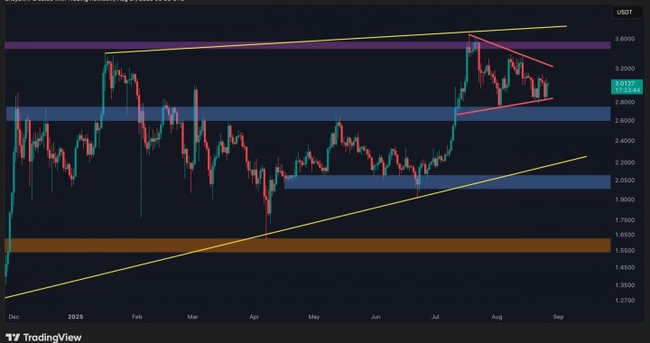 XRP at a Crossroads: $2 Crash or Explosive New All-Time High? (Ripple Price Analysis)