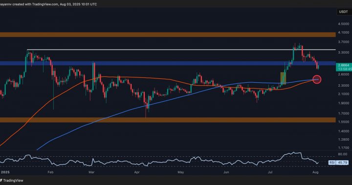 Ripple Price Analysis: These Are XRP’s Next Defense Lines After a Breakdown Below $3