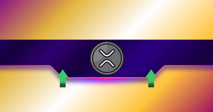 Is Ripple’s XRP About to Rally Hard? The Metric That Nailed the Top Says Yes