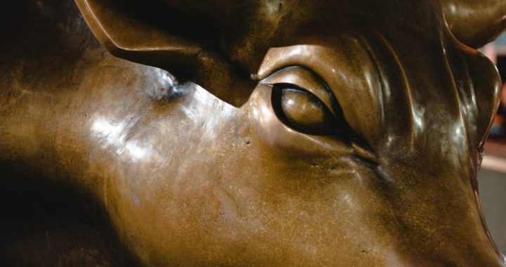 XRP’s Toughest Bull Run Could Lead To Big Gains, Analyst Claims