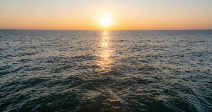 Slow And Steady: Bitcoin’s Current Rise Feels Different—Study