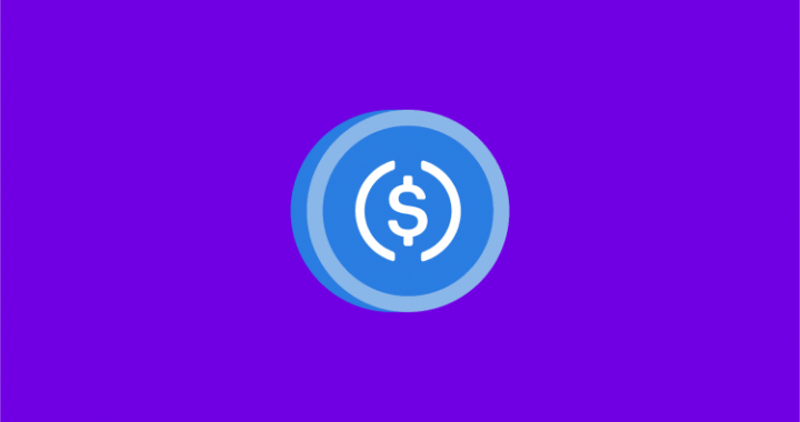 USDC Emerges As Top Pick In Booming Crypto Payroll Trend—Survey