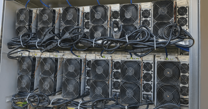 Inside the Powerhouse: The 50 Most Profitable Bitcoin Miners, Aug. 9-10, 2025