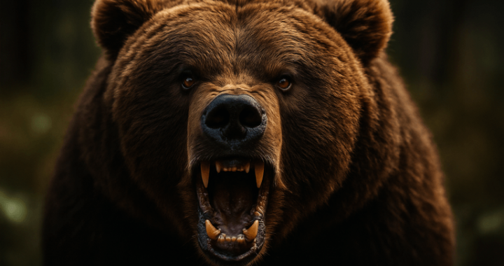 Bitcoin Bears Take Control — Key $110K Barrier Shattered