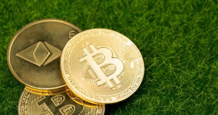 Bitcoin and Ether ETFs Surge With $503 Million Inflows as Recovery Momentum Builds