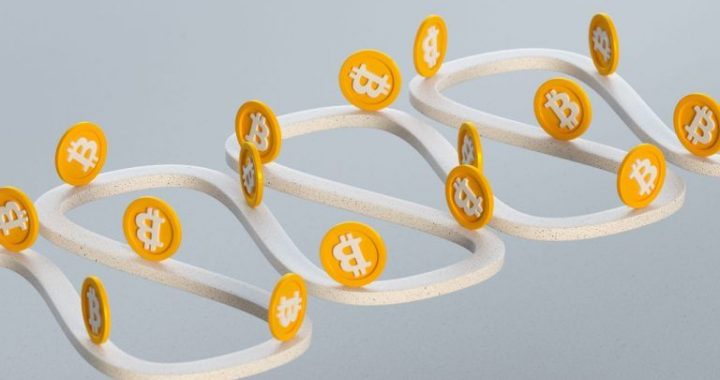 Analyst: Bitcoin Peaks Follow Halving Patterns—Next One Expected by Late 2025