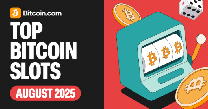 Top Bitcoin Casinos – Slots Guide for Beginners [August 2025]