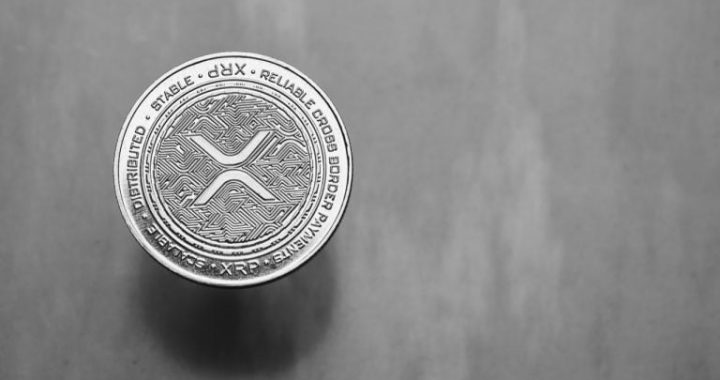 Bitso Report: XRP Rises as a Dark Horse in Latam Portfolios