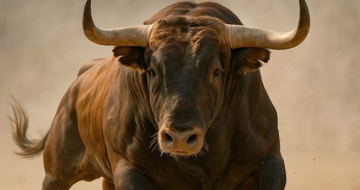 Analysts See Multi-Year Crypto Bull Market as Institutional Floodgates Swing Open