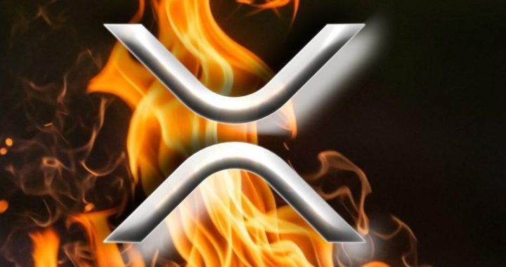 Ripple CEO Endorses XRP Card With Fire—Says ‘What a Time to Be Alive, XRP Family’