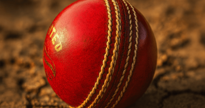 Hit a Six and Earn Crypto: New Game Blends Cricket With Web3 Rewards
