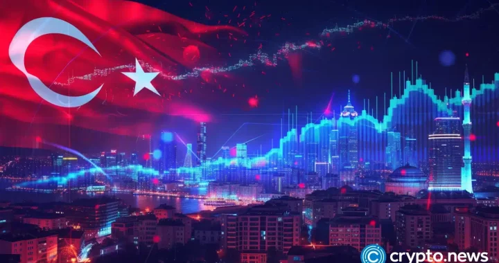 Ethereum developer Fede’s Intern out after 24-hour detention in Turkey