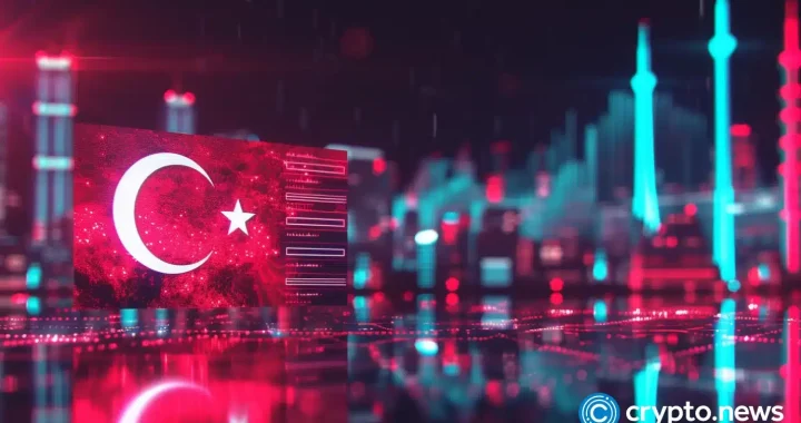 Turkey detains Ethereum developer over alleged role in network misuse